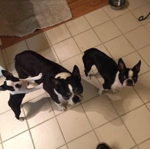 Meet your Posher, Rob